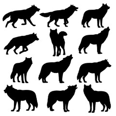 Obraz premium Set of wolf silhouettes isolated vector illustration on a white or transparent background