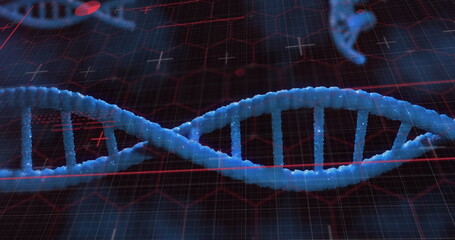 Floating blue DNA double helix on wireframe grid, red ECG waveform, plus signs and molecular icons
