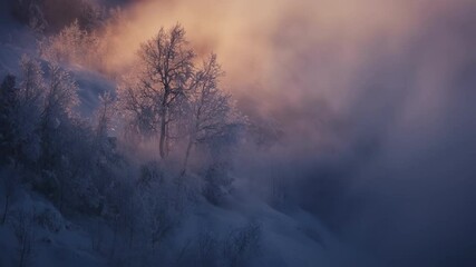 Majestic trees covered in frost stand on a snow covered mountainside, enveloped in a mystical fog as the sun sets, casting a warm, ethereal glow - Powered by Adobe