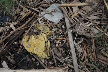 Environmental Pollution Debris, Waste, and the Impact of Plastic Pollution on Ecosystems