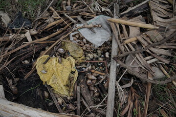 Environmental Pollution Debris and Plastic Waste in Nature