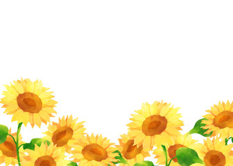 ひまわりの水彩風下フレーム素材（夏・花の飾り枠