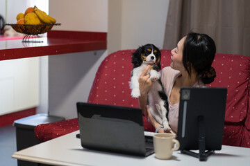Asian woman multitasking with work and pet care at home