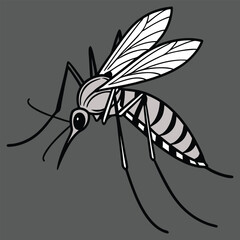 Close-up Asian tiger mosquito feeding skin, blurred background