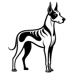 vector illustration of a dog