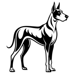 vector illustration of a dog
