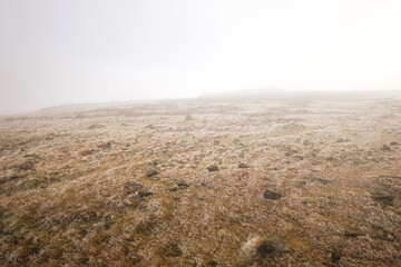 Dense mist over a grassy plateau near the summit of Scafell Pike in winter, Lake District, UK