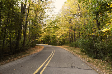 Road through fall season woods scene in Indiana nature.