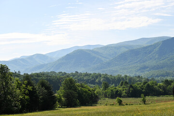 Obraz premium Meadow and Mountains
