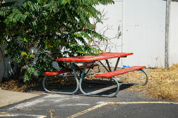 Outdoor picnic table under tree