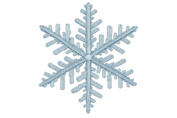 Delicate snowflake crystal revealing intricate geometric patterns, reflecting winter's elegant natural symmetry against clean white space