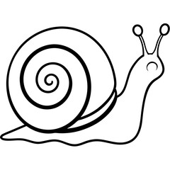 snail on a white background