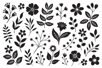 Floral silhouette with botanical leaves and branches Vector