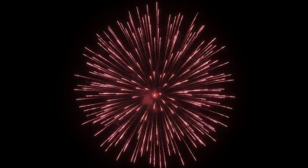 Obraz premium Fireworks Bursting in the Night Sky