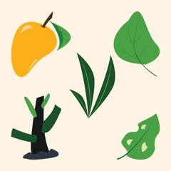 Colorful Mango and Tropical Leaves Vector illustration Set, Summer minimal hand drawn Flat Illustration 