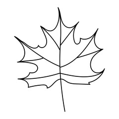 Naklejka premium Outline of a Maple Leaf for Autumnal or Seasonal Design
