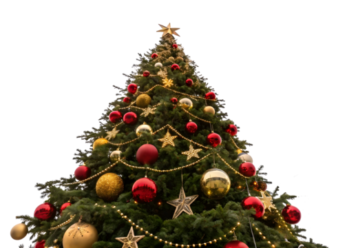 Christmas tree branches decoration isolated on white or transparent background