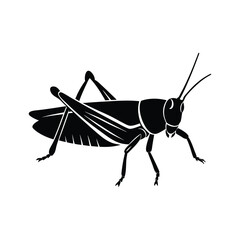 Grasshopper insect silhouette vector art illustration