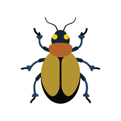 June bug insect colorful vector art illustration