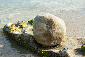 A smooth round stone resting on an algae-covered sea rock by a calm, sandy shore