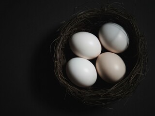 Four delicate eggs nestled in a rustic bird's nest against a dark background a serene springtime scene evoking themes of new life and fragility.