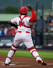 Fototapeta premium baseball catcher throwing