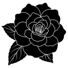 vector illustration of rose