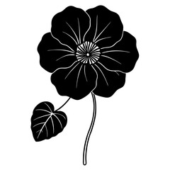 black and white flower