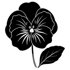 black and white flower isolated