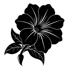 black and white flower isolated