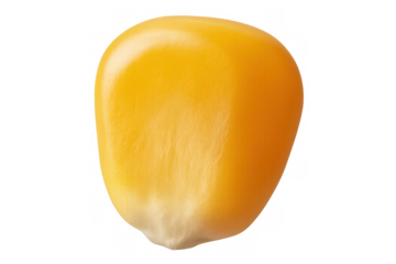 Close-up of a single kernel of corn, showcasing its texture and color against a transparent background