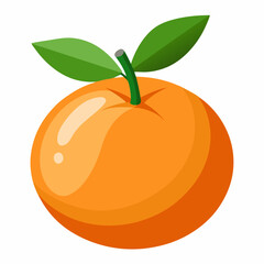 vector illustration of an orange