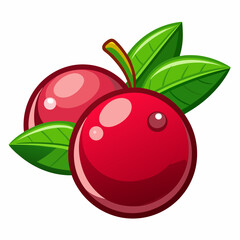 vector illustration of ripe cherries