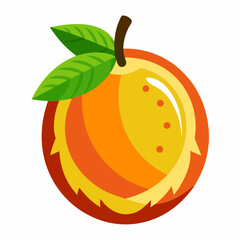 vector illustration of an orange