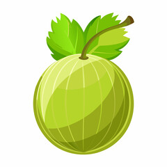 melon isolated on white