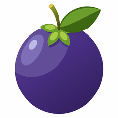 vector illustration of plum