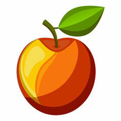 orange fruit vector illustration