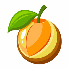 orange fruit vector illustration