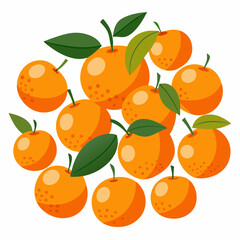 vector illustration of oranges