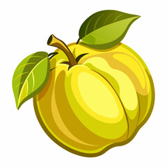 vector illustration of an orange