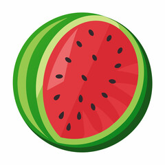 watermelon vector illustration