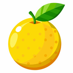 vector illustration of an orange