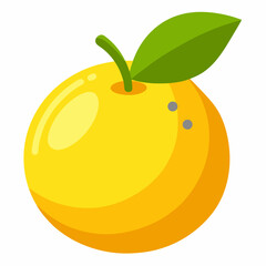 vector illustration of an orange fruit