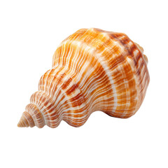 Obraz premium Colorful Spiral Shell with Stripes and Swirls on a White Background for Nature and Marine Themes Transparent background or png