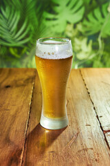 A glass of cold, golden beer, brimming with foam against a backdrop of green plants on a rustic wooden table, ideal for beer lovers.