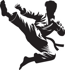 A silhouette of a martial artist performing a kick in mid air with a black belt on a white background