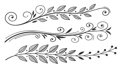 Calligraphic floral design elements with ornate scrolls and vintage decorative borders