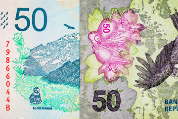 50 Pesos Argentina with the image of the mountain cerro aconcagua. Paper money of Argentina