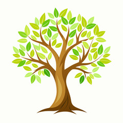 Fototapeta premium tree with green leaves