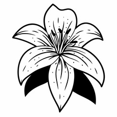 black and white flower